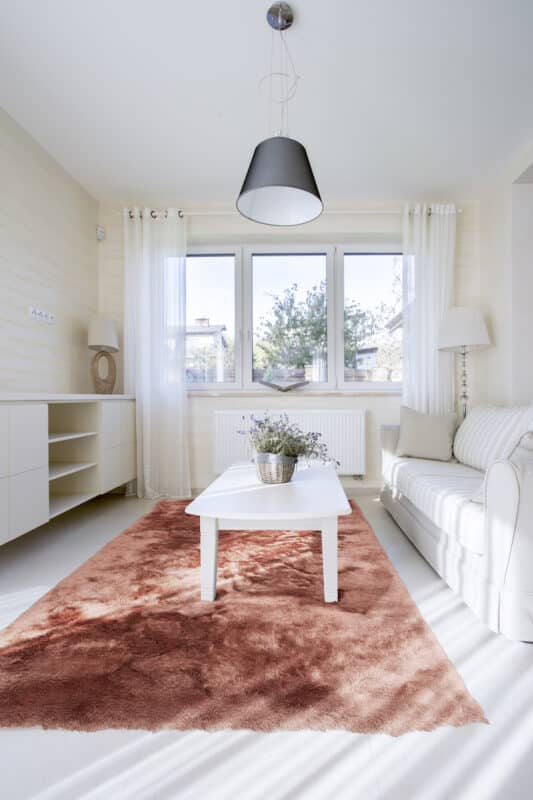Bright, modern living room with dark carpet